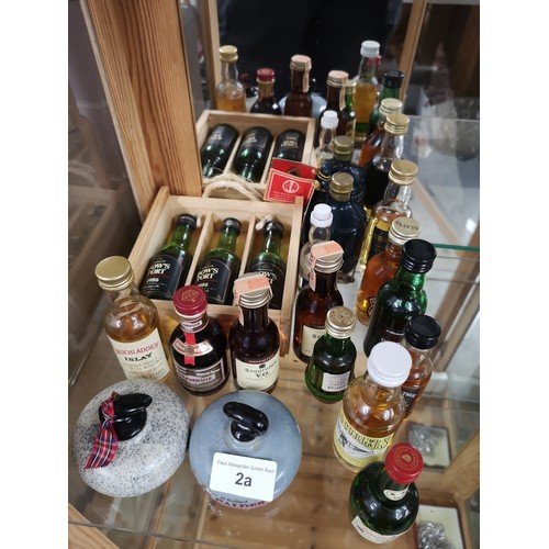 2a - Lot of whisky miniatures etc.