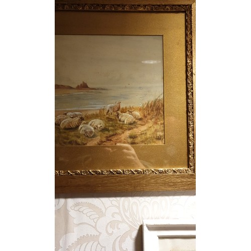 123d - Scottish scene watercolour  sheep farming by the sea signed and dated 1901.