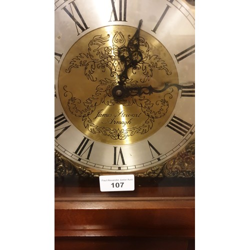 107 - Large Tempus Fugit grandfather Clock 1970s with pendulum  and Weights maker James Stewart from Armag... 