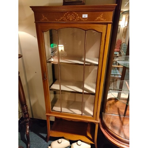 221 - Large Edwardian Slimline Display with under shelf .