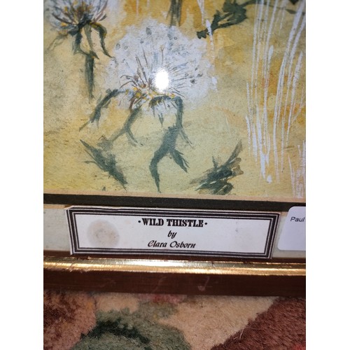 341 - Lovely watercolour titled Wild thistle by Clara Osborn .