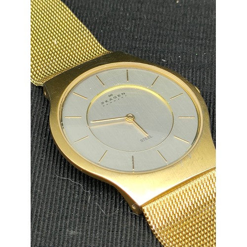 21 - Skagen Denmark watch .