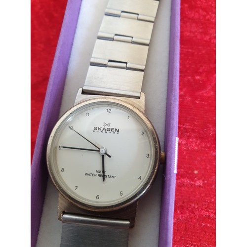 25 - Danish Gents Wrist Watch By Skagen Working