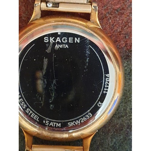 74 - Skagen Gents Wrist Watch With Mother Of Pearl Style Face