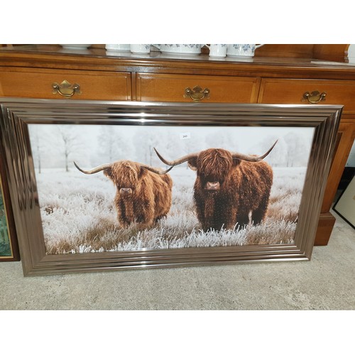 243 - Paggazzi Large Picture Of Highland Cows 115 cms x 66cms