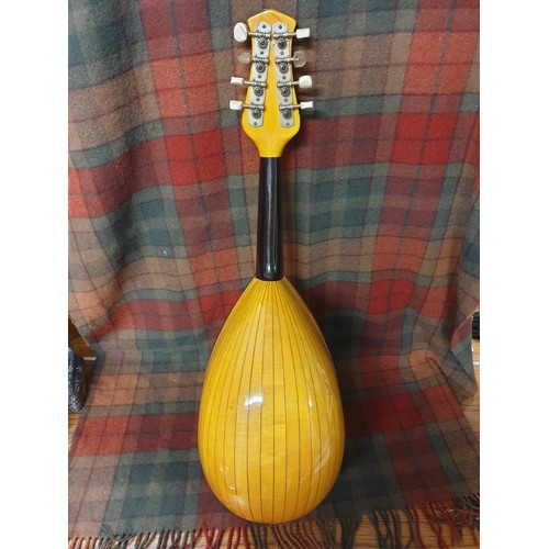 225 - Beautiful Hand Crafted Mandolin