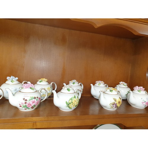 180 - 18 Royal Stratford Collectors Tea pots The Country Cottage Tea Pot Collection