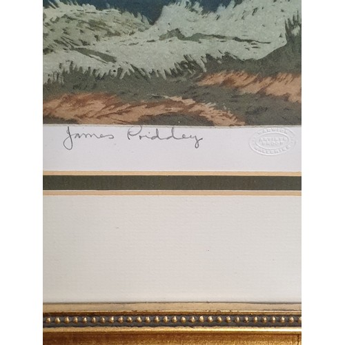 268 - Beautiful Artists Proof Painting Of Coniston lake Bt James Prioddey