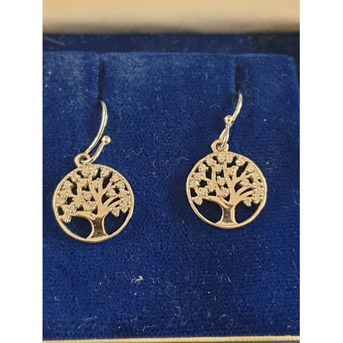 77 - Pair Of Silver Tree Of Life Pattern Ear Rings Boxed