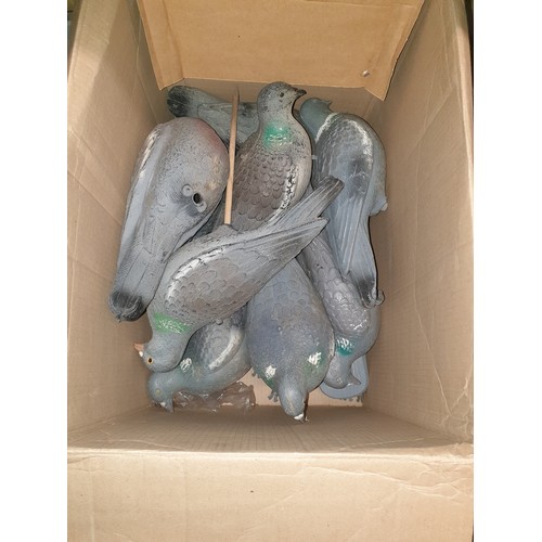 424 - Box Of Decoy Pidgeons