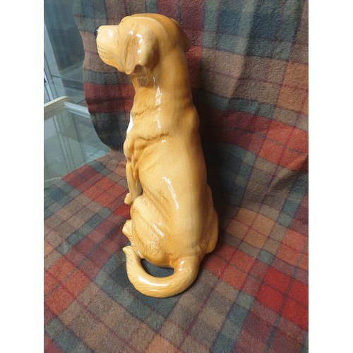 181 - A Large Beswick Fireside Friend Golden Retriever Stands 34cms Tall