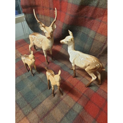 183 - A Beswick Deer Family Stag, Doe & 2 Fawns