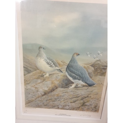 287 - Limited Edition Print P Tarmigan signed R David Digby And Water Colour Mares And Foals By Frame Flin... 