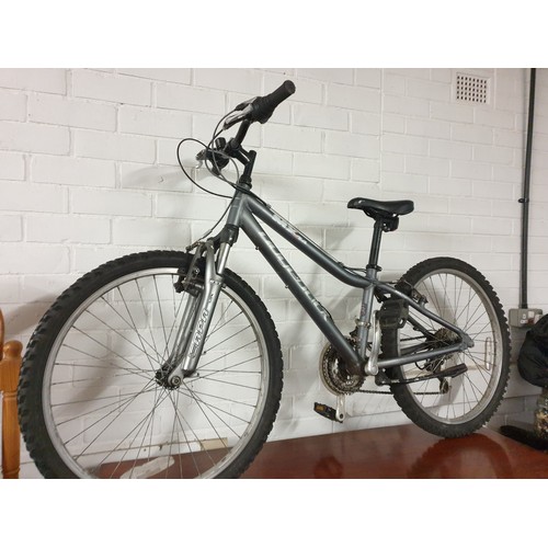 267 - A Teenagers Ridgeback Capa Mountain Bike