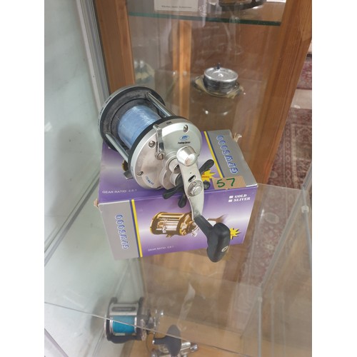 57 - GFW 5000 Multiplier Reel As New With Line And Box