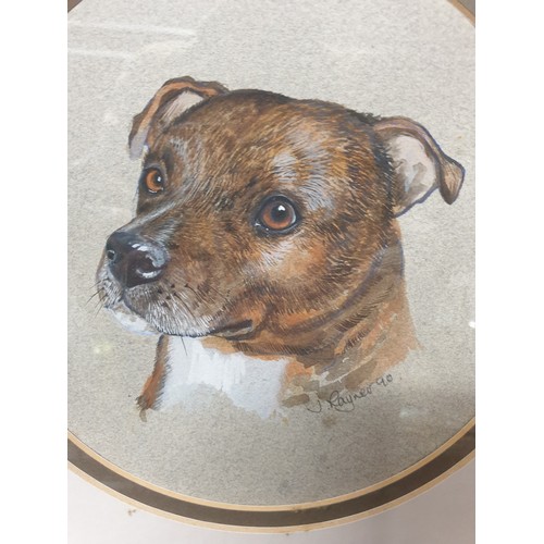 173 - Painting Of Staffordshire Bull Terrier Signed J Rayner