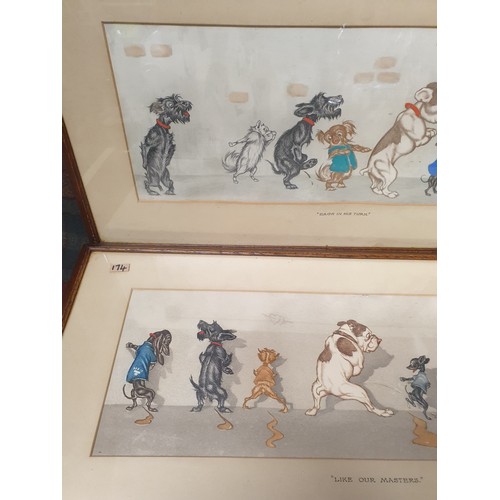 174 - Pair Of Hand Tinted Comical Dog Pictures Signed By Artist