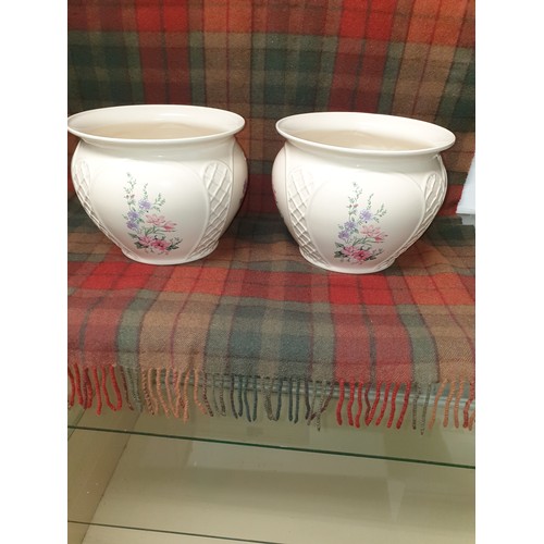 107 - 2 Royal Winton Plant Pots 18 cm x 23 cm Diameter