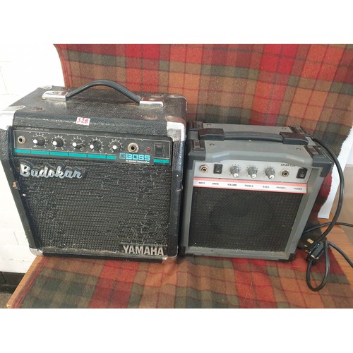 328 - 2 Guitar Practice Amps