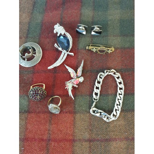 35 - A Selection Of Assorted Jewellery; Parrot Brooches, Scarf Clip & Bracelet Etc