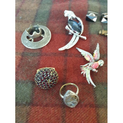 35 - A Selection Of Assorted Jewellery; Parrot Brooches, Scarf Clip & Bracelet Etc