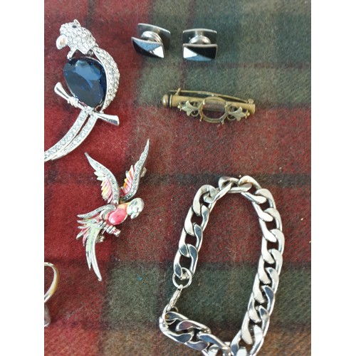 35 - A Selection Of Assorted Jewellery; Parrot Brooches, Scarf Clip & Bracelet Etc