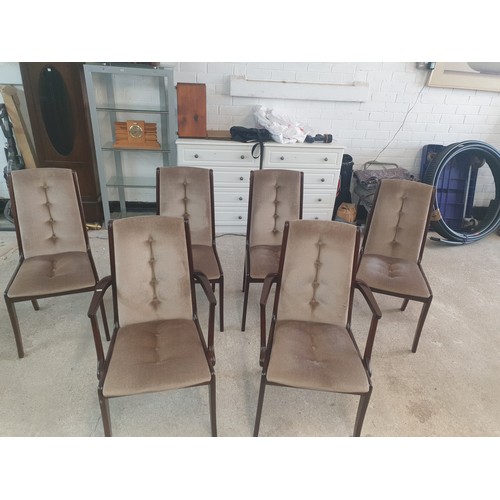 257 - Set Of Six Mid Century Dining Chairs In Beautiful Condition
