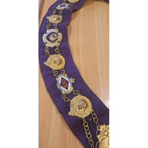 48 - Royal Antediluvian Order of Buffaloes (RAOB) Collar Jewels Display.