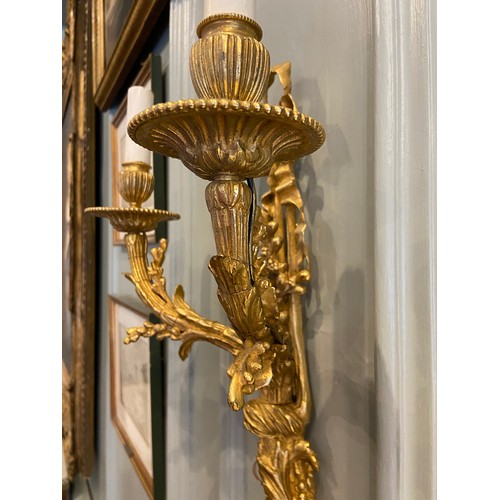 87 - An extremely fine pair of French gilt-bronze twin-branch wall lights of Louis XVI. Late 18th century... 