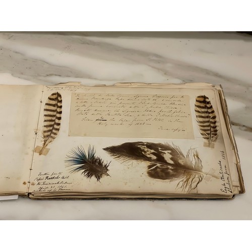 138 - An early 19th Century scrapbook. Including items of Anglo-Indian interest. An assemblage of watercol... 