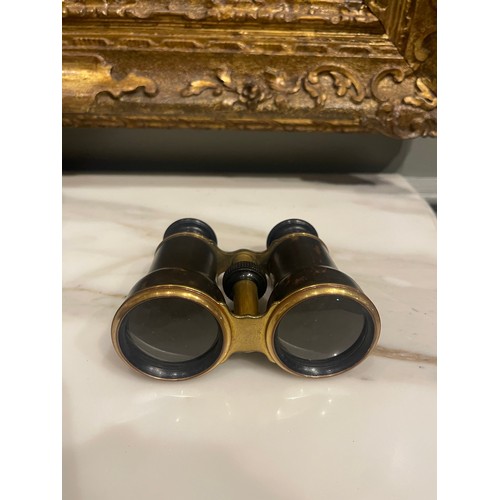 149 - A pair of tortoiseshell and brass binoculars. 19th Century. In a leather case.From the Family of Tur... 