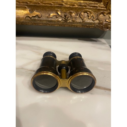 149 - A pair of tortoiseshell and brass binoculars. 19th Century. In a leather case.From the Family of Tur... 