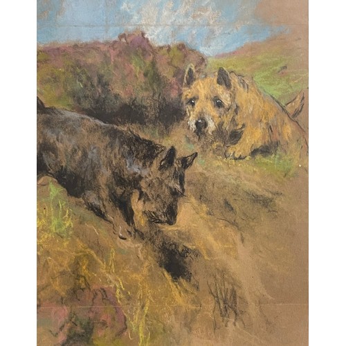 179 - [Δ]Terriers. Circa 1900. By Arthur Wardle (1860 - 1949, British). Crayon on paper.Dimensions:10 in (... 