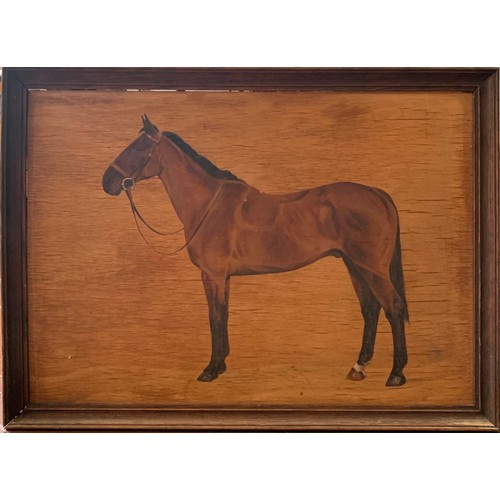 185 - [Δ]A Bay Horse. F.M Hollams (1877-1963). Oil on panel. Dimensions:Framed: 13.5 in (H) x 1... 