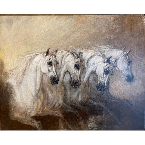 238 - [Δ]Grey Arabian Horses. John Ferneley Senior (1782-1860. Early 19th century. Oil on canvas. Dimensio... 