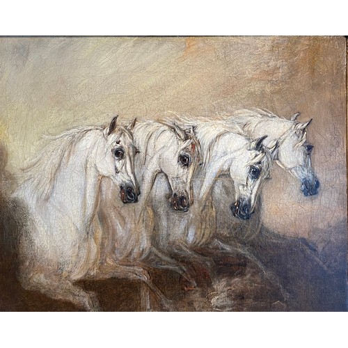 238 - [Δ]Grey Arabian Horses. John Ferneley Senior (1782-1860. Early 19th century. Oil on canvas. Dimensio... 