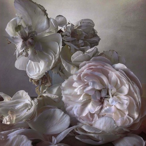 4 - Nick Knight (b. 1958)Saturday 8th August, 2015.Hand-coated pigment print, printed 2019.157.5 x 157.5... 