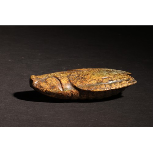 49 - Han Dynasty (202 BC-9 AD, 25–220 AD).Cicada.Carved Jade (?).Archaic jade cicadas were treasures of t... 