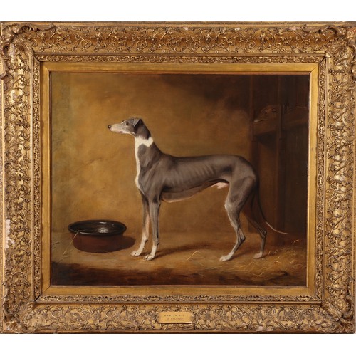 144 - Henry Calvert (1798-1869)Portrait of the Celebrated Stud Greyhound 'Croton Oil'Oil on canvasProvenan... 