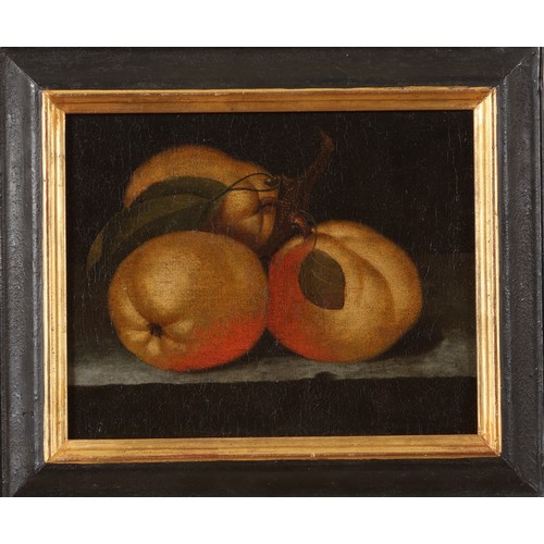 155 - German School17th CenturyOil on Canvas[a]: A Still Life of Quinces on a Ledge[b]: A Still Life of Th... 