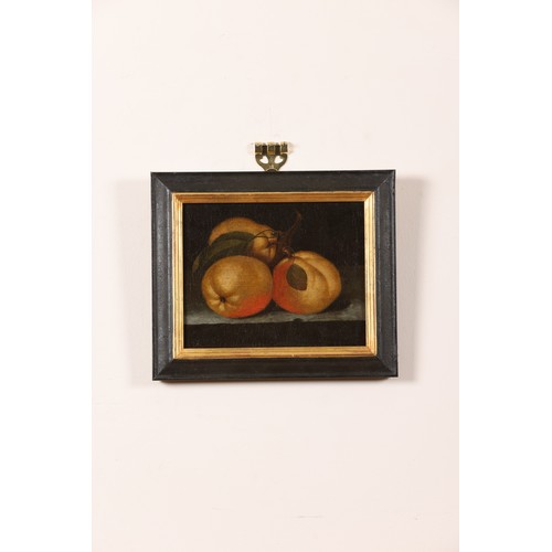 155 - German School17th CenturyOil on Canvas[a]: A Still Life of Quinces on a Ledge[b]: A Still Life of Th... 