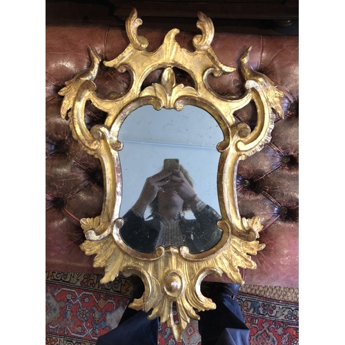 15A - Property of Sir Christopher Ondaatje18th/19th CenturyA carved and gilded mirrorDimensions:29 in. (H)... 