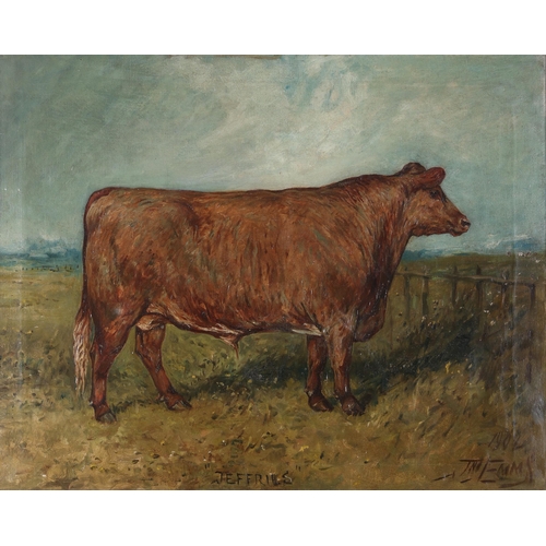 40 - Property of a ladyEmms, John (1844-1912)Portrait of a bull in a landscapeOil on canvasSigned and dat... 