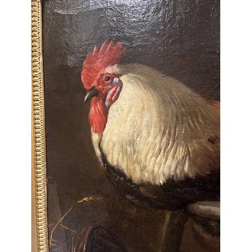 41B - Italian School18th CenturyA Cockerel on a Perch in a Stable InteriorOil on canvasNote:The painting h... 