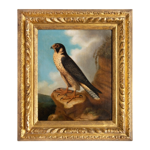 120 - John Christopher Christman (c. 1766 - 1803)A Peregrine Falcon resting on a stony outcropOil on canva... 