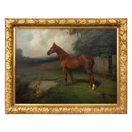 143 - (Thomas) Percy Earl (1874 - 1946)Portrait of an Anglo-Arabian horseOil on canvasDimensions:(Canvas) ... 