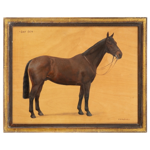 213 - Property of a Gentleman F. M. Hollams (1877 - 1963)A portrait of the horse 'Gay Boy'Oil on pane... 