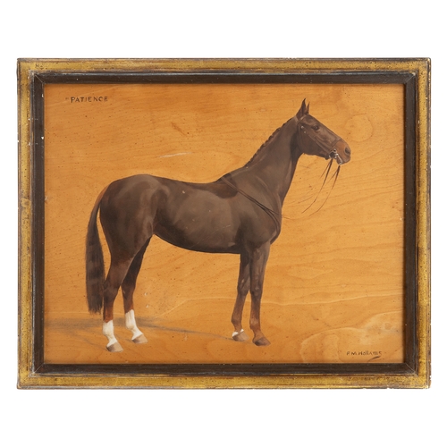 214 - Property of a Gentleman F. M. Hollams (1877 - 1963)A portrait of the horse 'Patience'Oil on pan... 