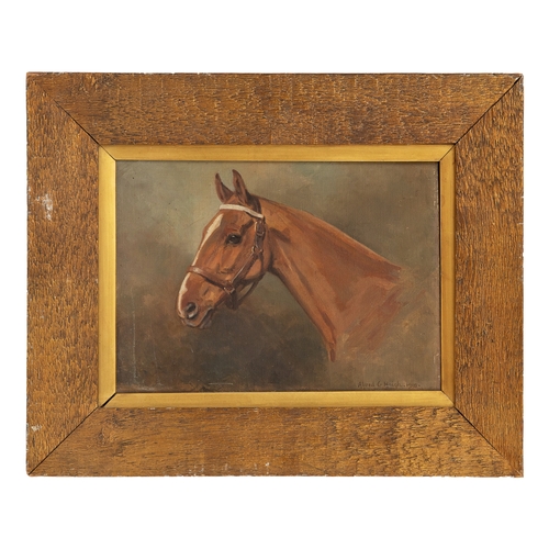 216 - Property of a GentlemanAlfred G. Haigh (1870 - 1963)Signed 1918An equine portraitOil on panelDimensi... 