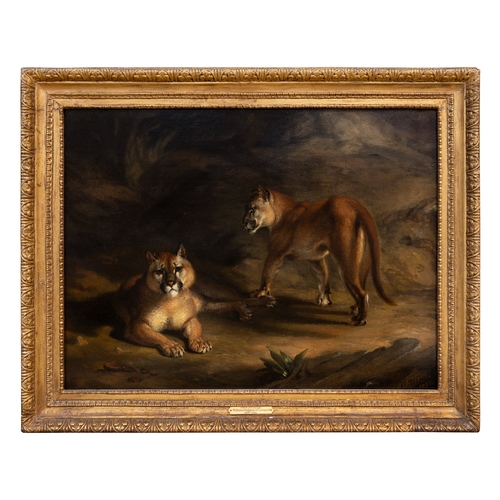 122 - Property of a GentlemanWilliam Huggins (1820 - 1884)Two pumas in a landscapeOil on panelSigned and d... 